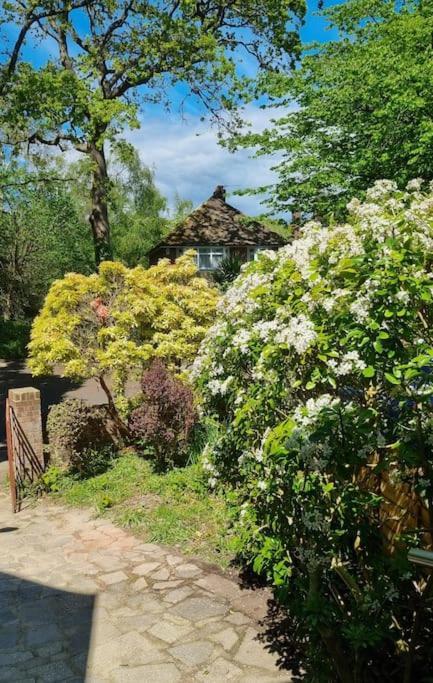 Private Self-Contained Place Bournemouth Bagian luar foto